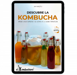 Descubre la Kombucha