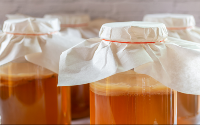 Primer ensayo clínico en humanos sobre kombucha y microbiota intestinal: ¿qué se descubrió?