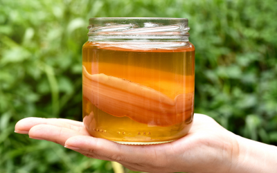 ¿Qué dice la ciencia sobre la kombucha? Nature publica un estudio revelador sobre sus beneficios